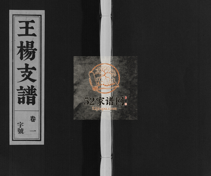 王杨支谱[13卷首末各1卷]2015年修 安徽桐城余庆堂电子版家谱下载