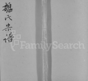 魏氏宗谱1844年四修 安徽桐城-怀宁-庐江魏氏电子版家谱下载