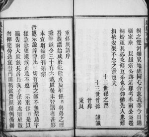 皖桐魏氏宗谱[21卷,首1卷,末3卷]1912年修 安徽桐城继晋堂魏氏电子版家谱下载