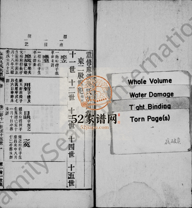 麻溪吴氏族谱1912年修 安徽桐城吴氏电子版家谱下载