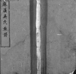 麻溪吴氏族谱[74卷,首1卷]1913年重修 安徽桐城敦本堂吴氏电子版家谱下载