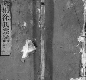 皖桐徐氏宗谱[21卷,首2卷,末4卷]1908年九修 安徽桐城永思堂徐氏电子版家谱下载