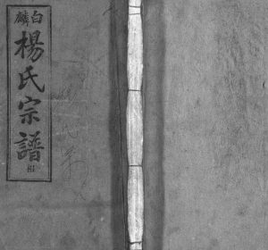 白麟杨氏宗谱[62卷,首1卷]1933年六修 安徽怀宁-桐城四知堂杨氏电子版家谱下载