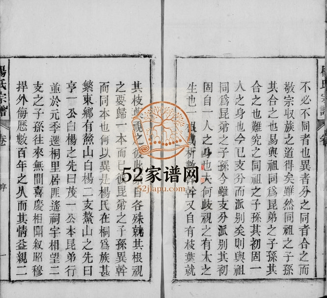 皖桐杨氏宗谱[16卷]1872年修 安徽桐城杨氏电子版家谱下载