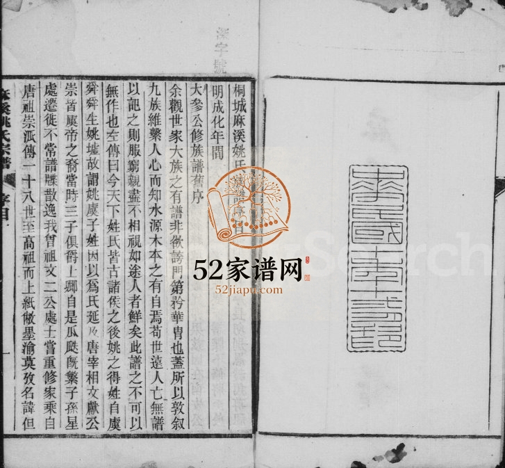 麻溪姚氏族谱[25卷]1921年修 安徽桐城姚氏电子版家谱下载