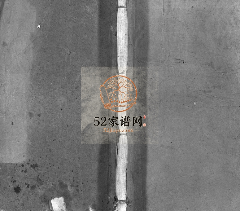 皖桐殷氏宗谱[37卷,首4卷]1923年四修 安徽桐城字玉堂殷氏电子版家谱下载