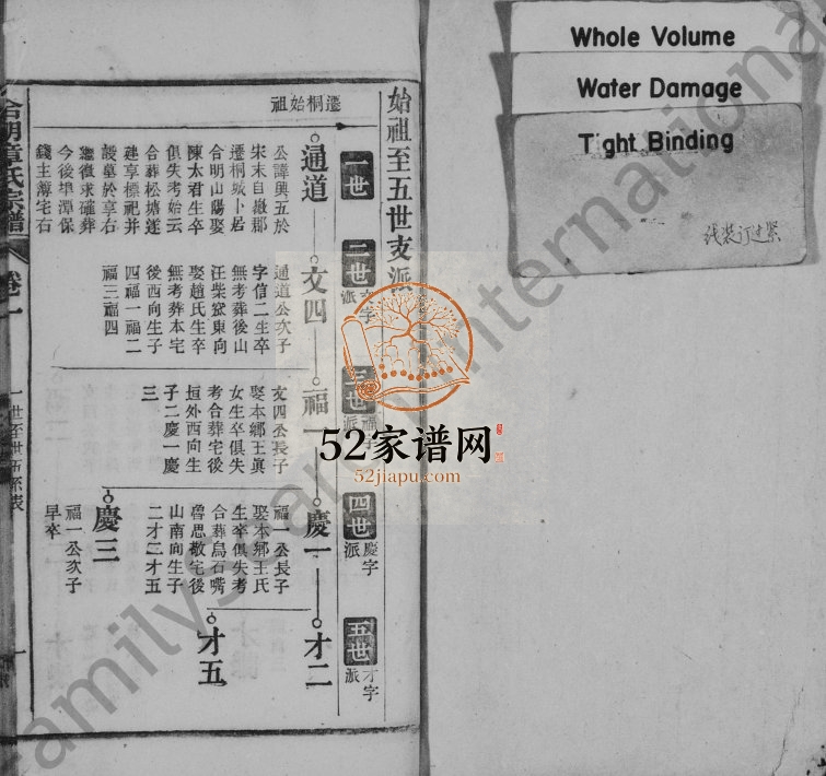 合明章氏家乘1919年修 安徽桐城章氏电子版家谱下载