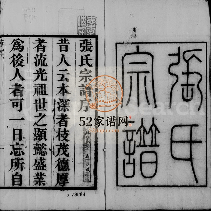 张氏宗谱[32卷,首1卷]1890年修 安徽桐城张氏电子版家谱下载