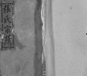 张氏宗谱[84卷]1906年修 安徽桐城锡类堂张氏电子版家谱下载
