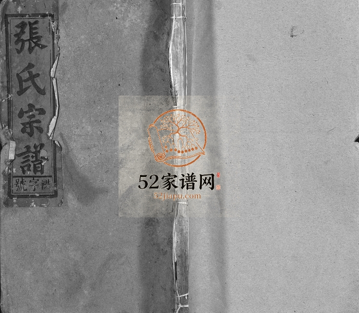 张氏宗谱[84卷]1906年修 安徽桐城锡类堂张氏电子版家谱下载