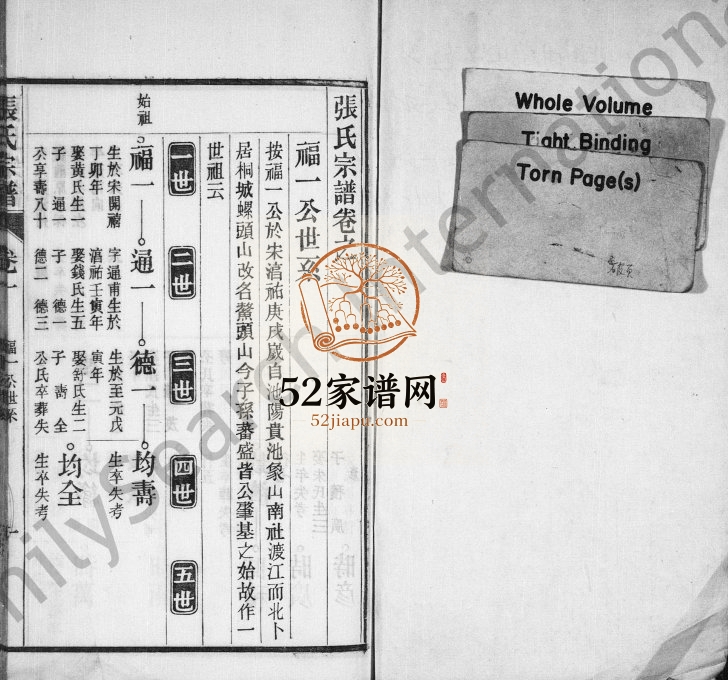 张氏宗谱[38卷,末1卷]1927年八修 安徽桐城鳌山电子版家谱下载