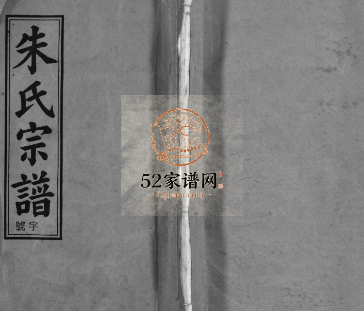 朱氏宗谱[32卷]2001年续修 安徽桐城忠恕堂朱氏电子版家谱下载