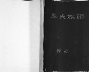 毕氏族谱1994年修 山东即墨惇叙堂毕氏电子版家谱下载
