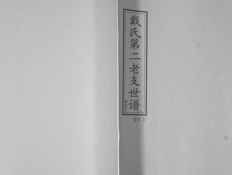 戴氏第二老支世谱2010年初修 山东即墨戴氏电子版家谱下载
