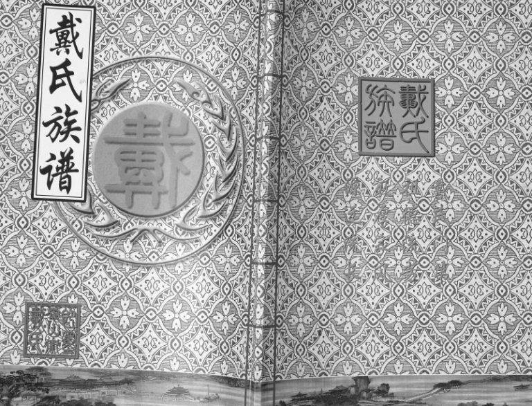 即墨鳌山卫戴氏族谱[不分卷]2015年第二修支谱 山东即墨戴氏电子版家谱下载
