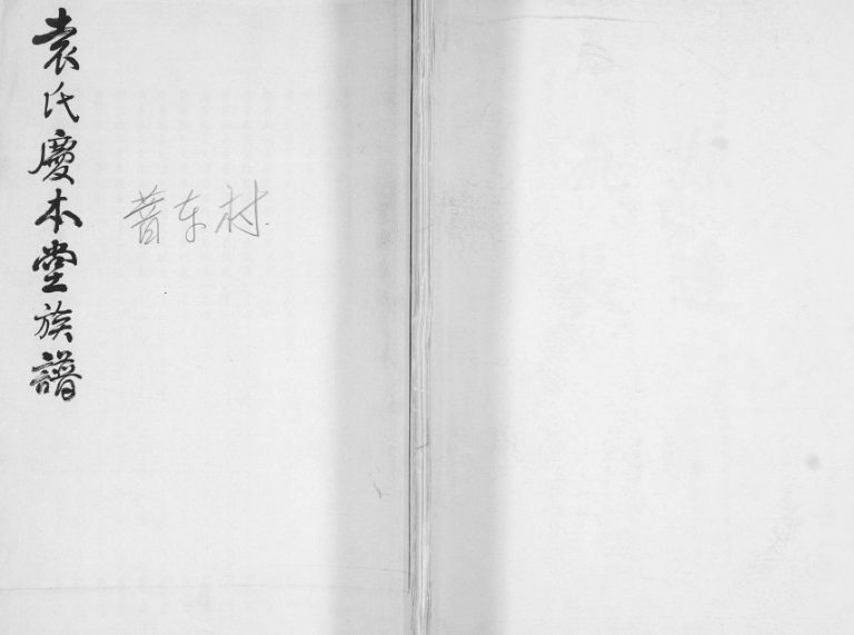 袁氏庆本堂族谱普东村2002年修 山东即墨袁氏完整电子版家谱下载