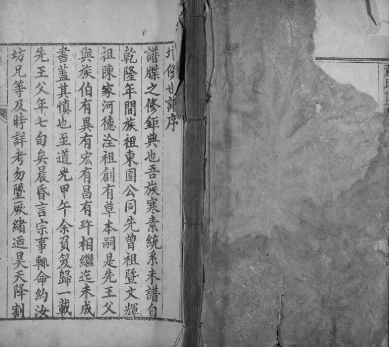 董氏世谱1887年修 山东即墨董志善家族完整电子版家谱下载