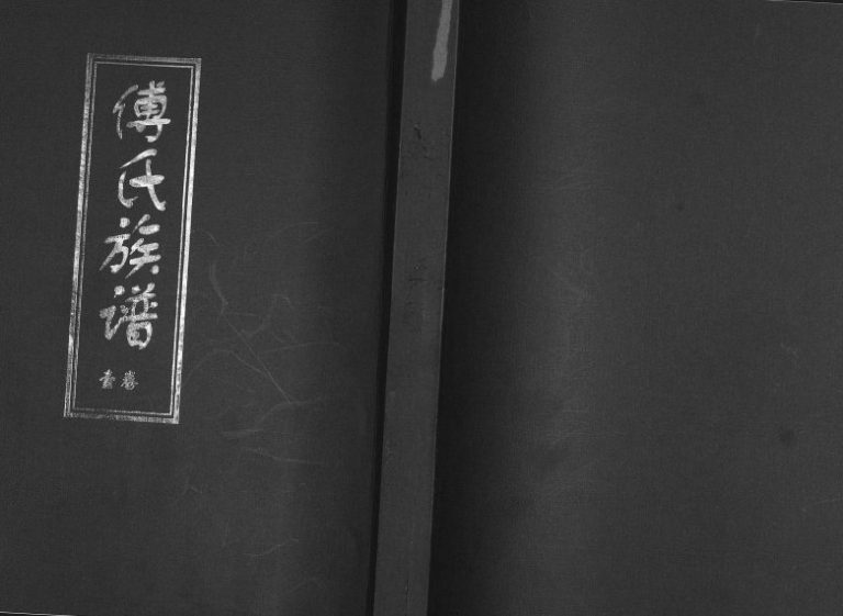 即墨区移风店镇傅家村傅氏族谱[3卷]2013年修 山东即墨傅氏电子版家谱下载