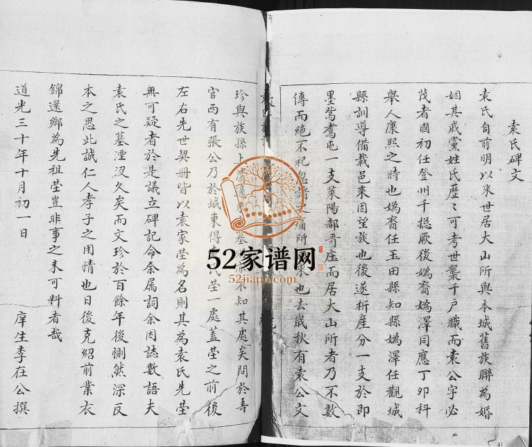 袁氏族谱[不分卷]1907年修 山东即墨光袁家屯裕堂袁氏电子版家谱下载