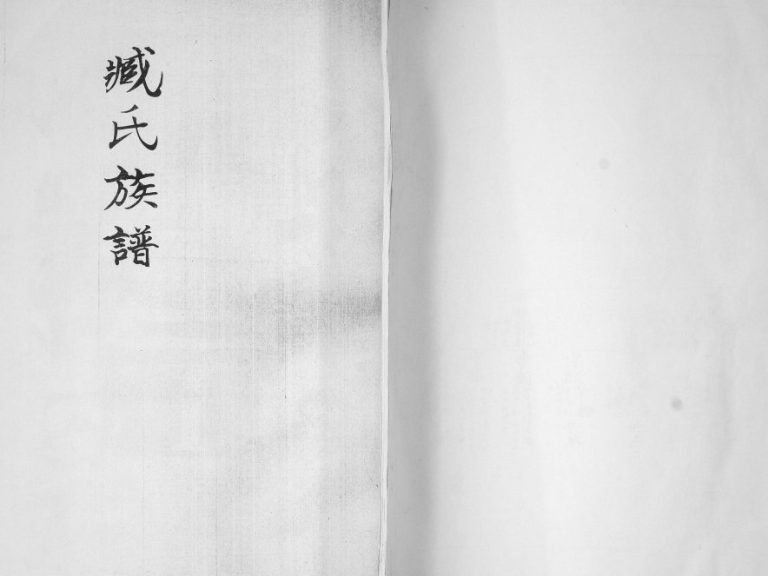 臧氏族谱2003年修 山东即墨臧珠家族完整电子版家谱下载