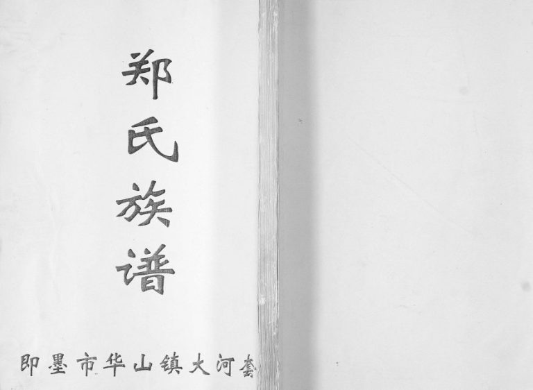 即墨区华山镇大河套郑氏族谱2010年修 山东即墨郑氏电子版家谱下载