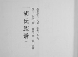 胡氏族谱2008年修 山东即墨胡氏电子版家谱下载