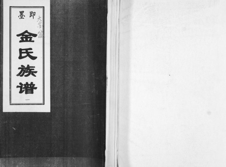 即墨大金家金氏族谱1920年修 山东即墨务本堂金氏电子版家谱下载