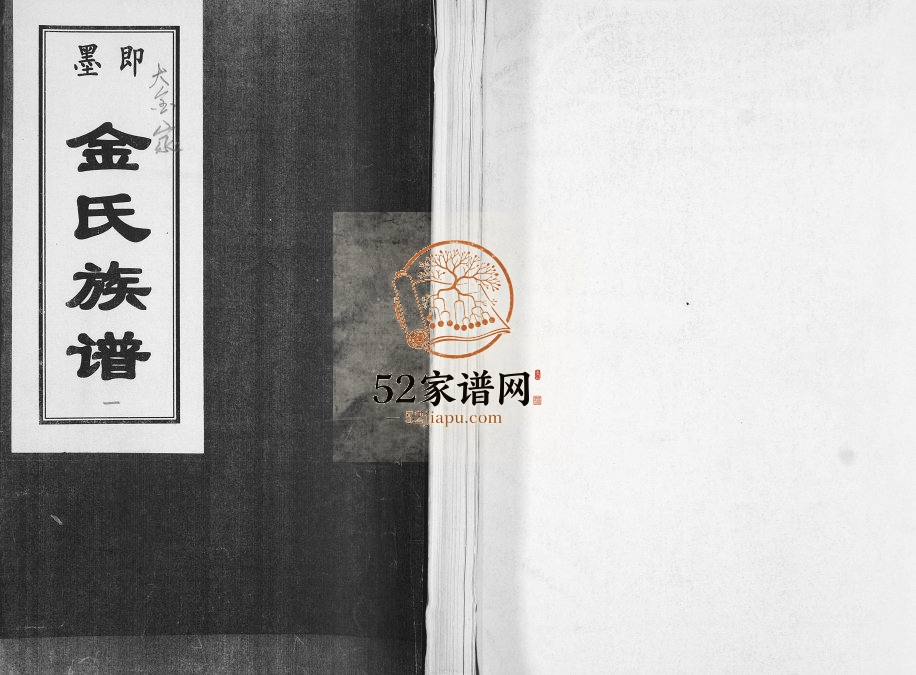 即墨大金家金氏族谱1920年修 山东即墨务本堂金氏电子版家谱下载