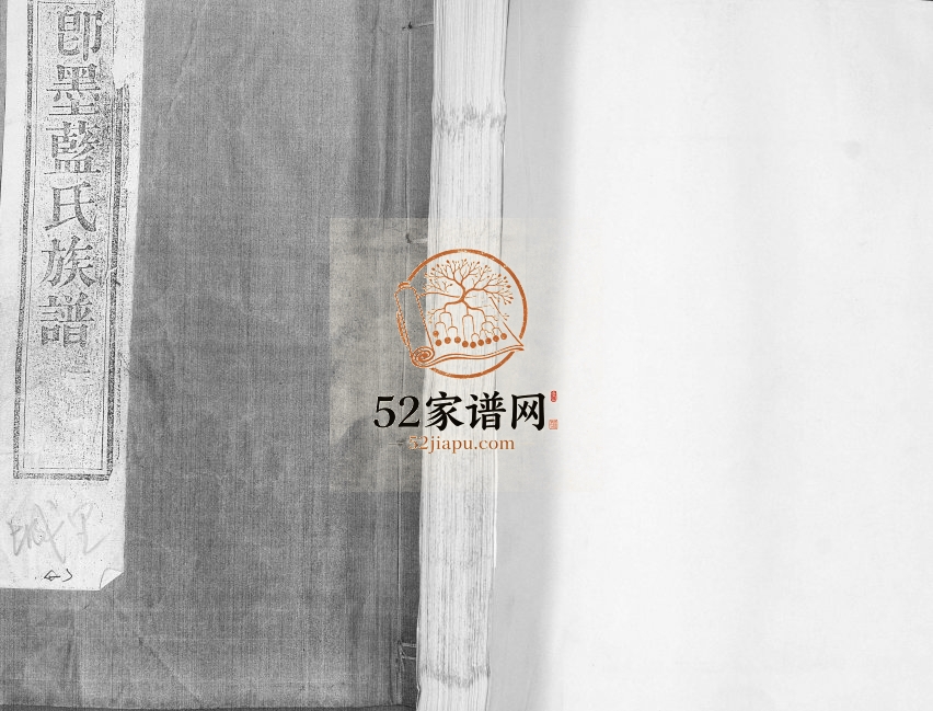即墨蓝氏族谱1911年修 山东即墨傅桂堂蓝氏电子版家谱下载