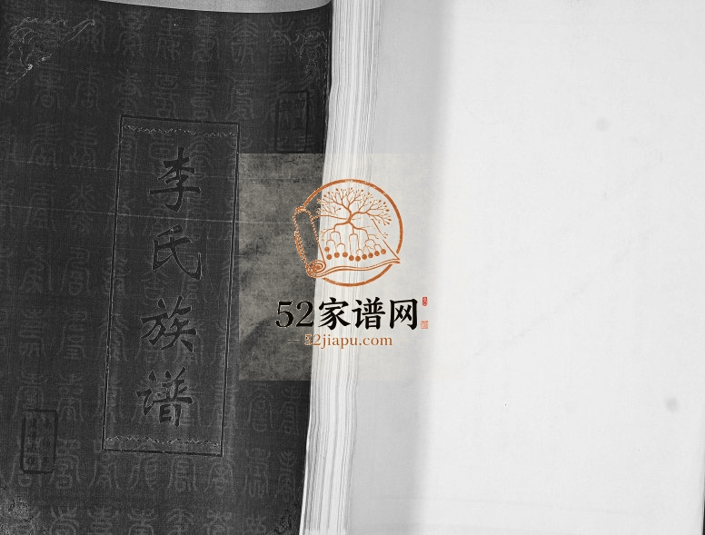 李氏族谱2013年修 山东即墨南泊子村李氏电子版家谱下载