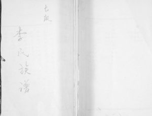 七级李氏族谱1941年修 山东即墨李氏电子版家谱下载