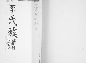 李氏族谱1925年修 山东即墨留村西南泊李氏电子版家谱下载