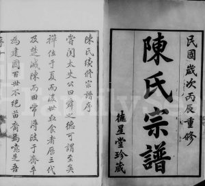 毘陵小南门陈氏宗谱[12卷]1917年重修 江苏武进德星堂陈氏电子版家谱下载