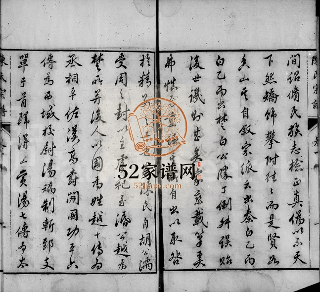 毘陵陈氏宗谱[30卷]1876年重修 江苏武进映山堂陈氏电子版家谱下载
