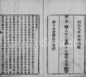 苏城陈氏家谱1870年修 江苏吴中陈氏电子版家谱下载