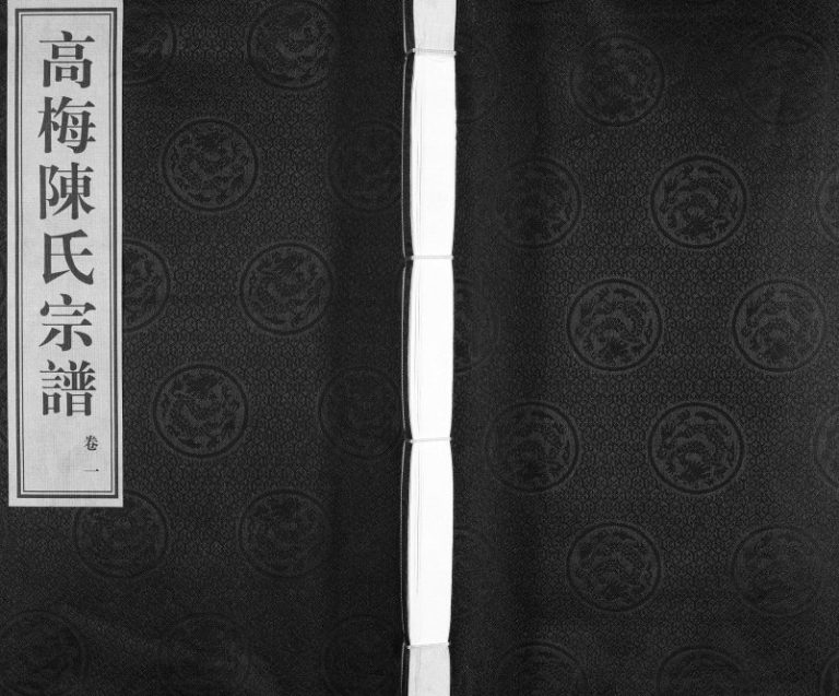 高梅陈氏宗谱[15卷]2013年续修 江苏常州市追远堂陈氏电子版家谱下载