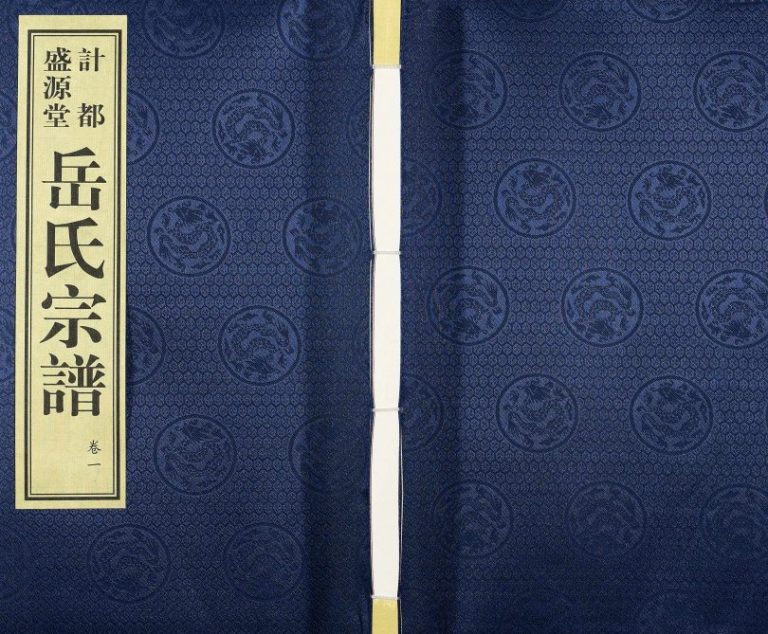 岳氏宗谱[11卷]2015年修 甘肃庄浪盛源堂岳氏电子版家谱下载