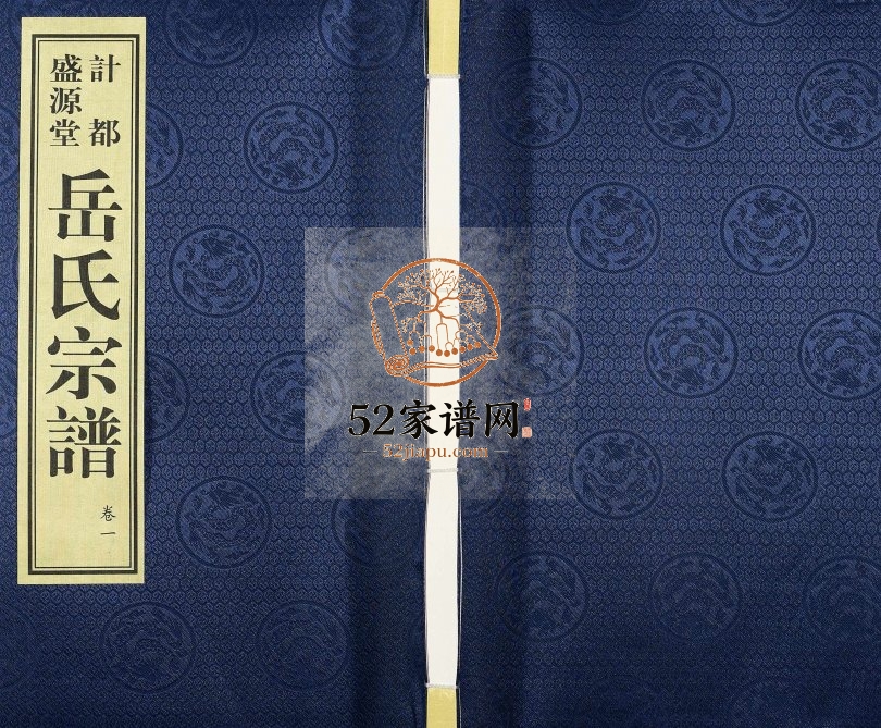 岳氏宗谱[11卷]2015年修 甘肃庄浪盛源堂岳氏电子版家谱下载