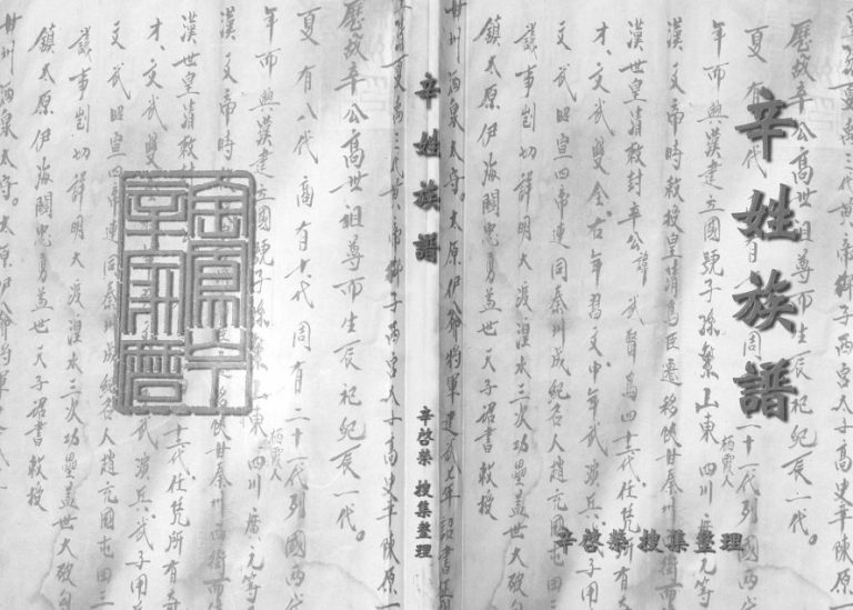 辛姓族谱[不分卷]2009年修 甘肃天水电子版家谱下载