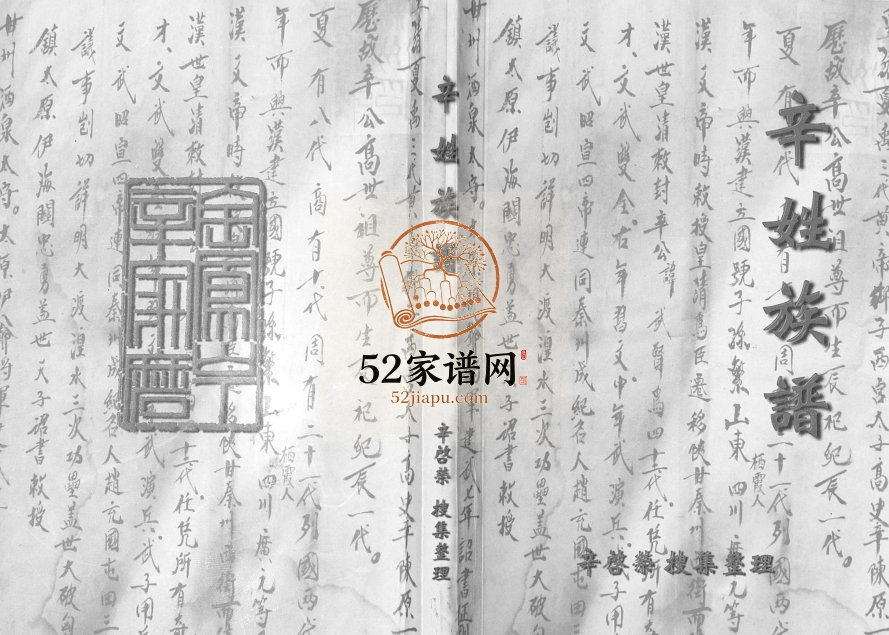 辛姓族谱[不分卷]2009年修 甘肃天水辛氏电子版家谱下载