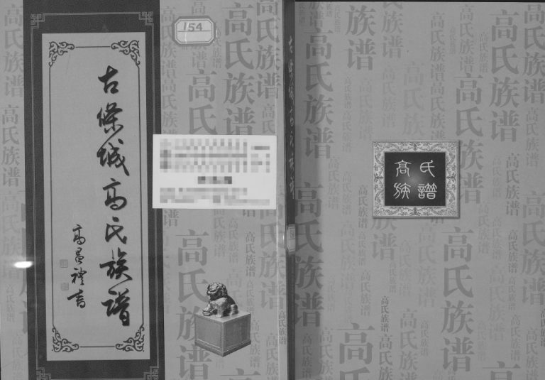 古条城高氏族谱2017年修 甘肃榆中高氏电子版家谱下载