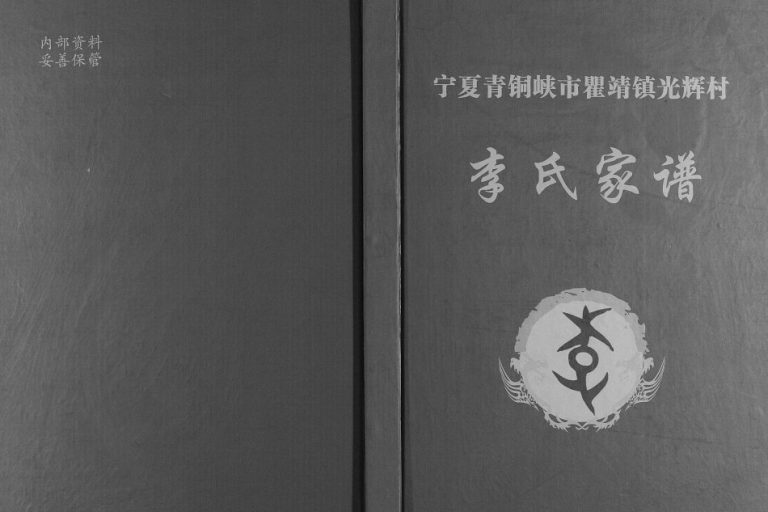 宁夏青铜峡市瞿靖镇光辉村李氏家谱[不分卷]2016年修完整电子版家谱下载
