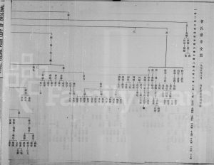 曹氏谱系全图1975年修 广西 云南曹氏电子版家谱下载