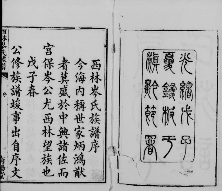西林岑氏族谱[10卷首1卷]1888年修 南阳堂岑氏电子版家谱下载