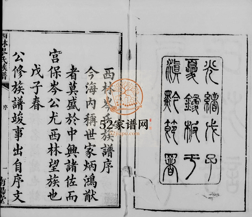 西林岑氏族谱[10卷首1卷]1888年修 南阳堂岑氏电子版家谱下载