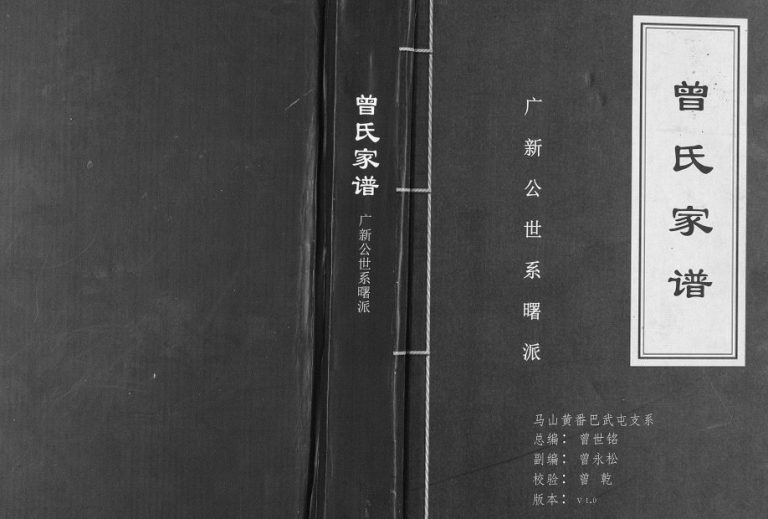曾氏家谱广新公世系曙派马山黄番巴武屯支系2017年修完整电子版家谱下载
