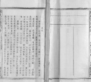 陈氏宗谱1990年修 广西柳州市德星堂陈氏电子版家谱下载