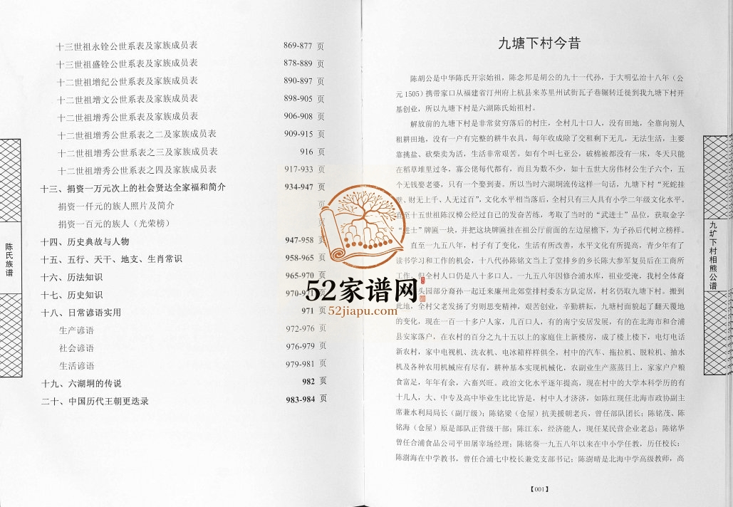 陈氏族谱豪沃村回眸九塘下村今昔2015年修 广西合浦陈氏电子版家谱下载