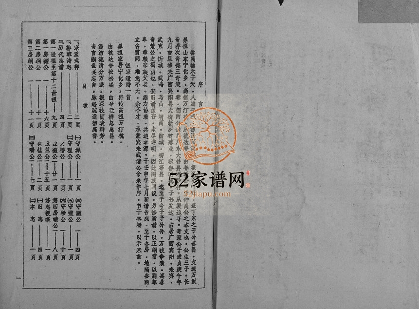 丁家志谱1992年修 广西宾阳济阳堂丁氏电子版家谱下载
