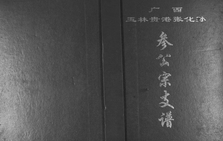 广西玉林贵港张化孙参公宗支谱2002年修 完整电子版家谱下载